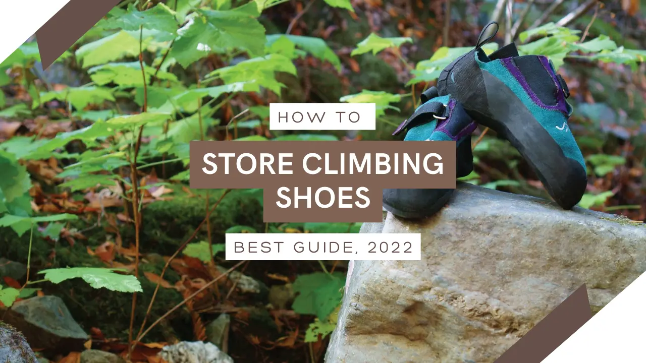 How To Store Climbing Shoes